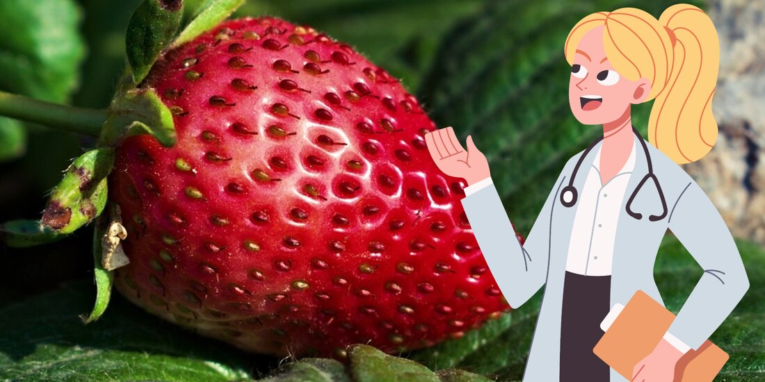 Las fresas son una fruta rica en antioxidantes.