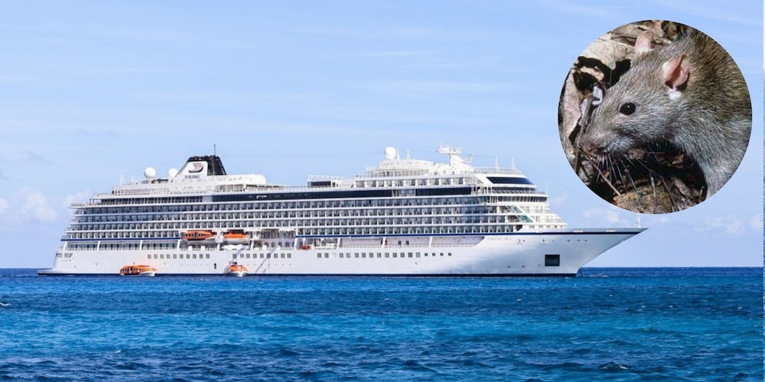 El inicio de los contagios no fue dentro del barco