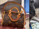 Louis Vuitton vende bolso para heces de mascotas a 17 mil pesos. Foto: Especial