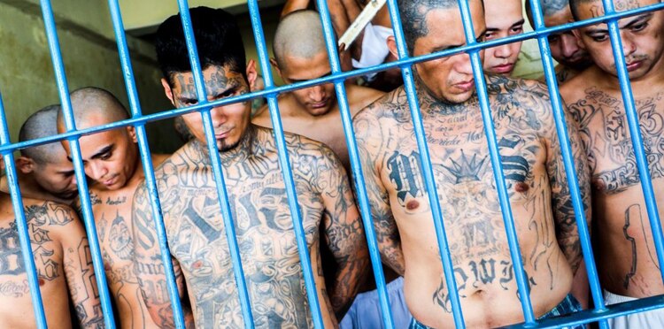Del total de los pandilleros detenidos en El Salvador, el 90 por ciento tiene detención provisional decretada por un juez.
