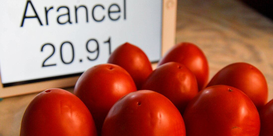 Se mantiene comercio de jitomate con EU: CSP