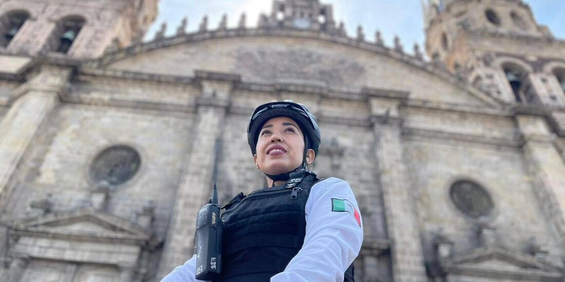 Seguridad en la entidad.