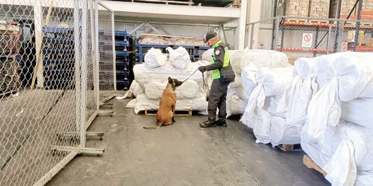 Decomiso de fentanilo en AIFA, antier.