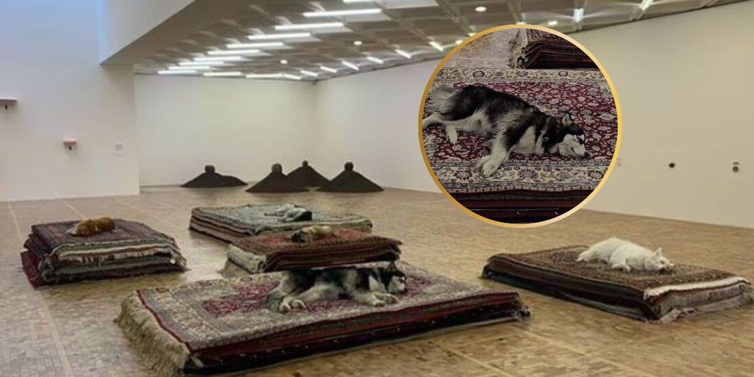 La exposición "Casts" causó indignación porque incluye animales reales.