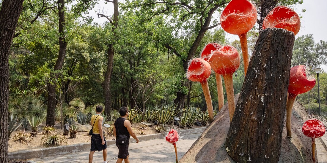 Inició el Festival del Bosque 2025 'Spora'