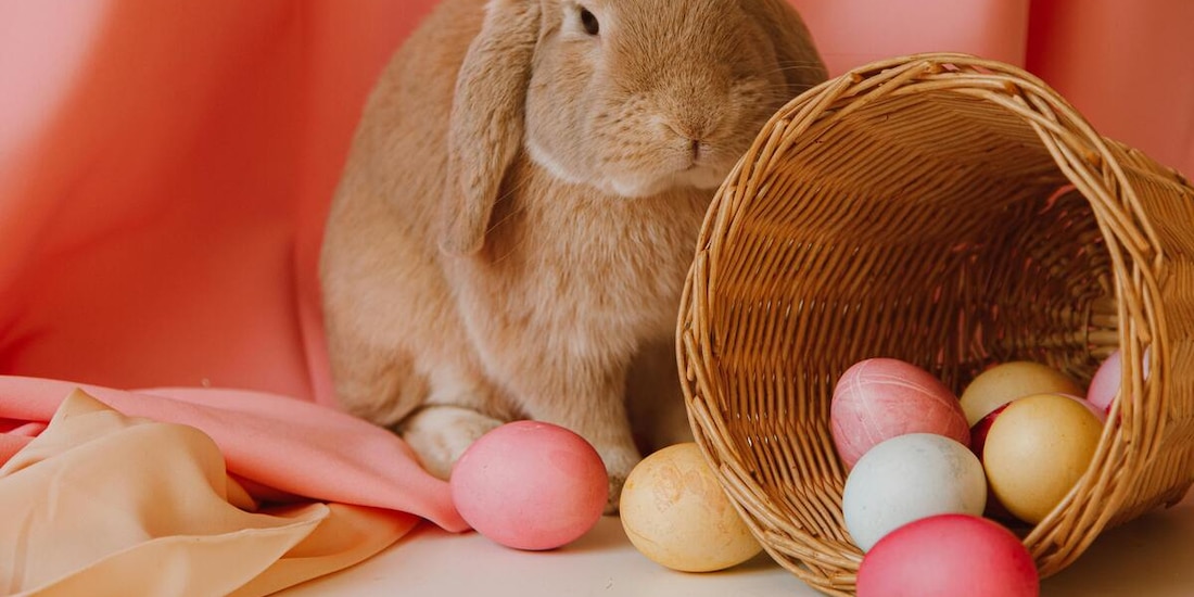 Los huevos de Pascua guardan un amplio significado en la cultura