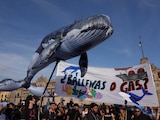Activistas de la coalición #ballenasogas se manifestaron para exigir justicia para frenar el proyecto saguaro