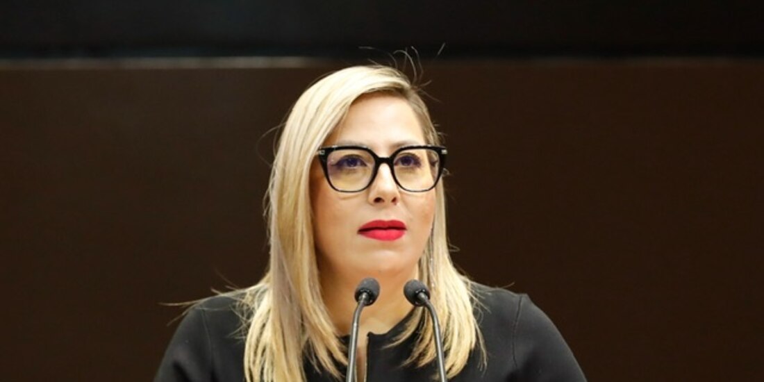 Lizbeth Mata Lozano, diputada del PAN, el viernes en la Cámara alta.