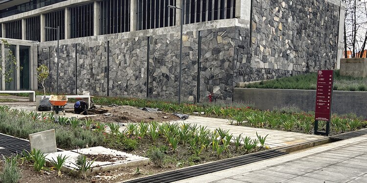 Cineteca Chapultepec reabre al público pero incompleta