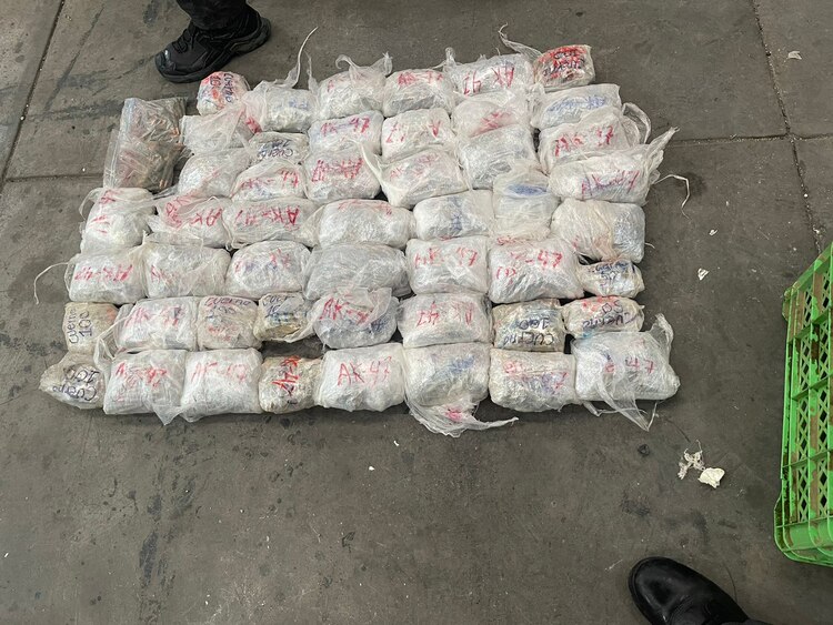 Incautación de drogas, armas y vehículos en operativo contra el crimen organizado.