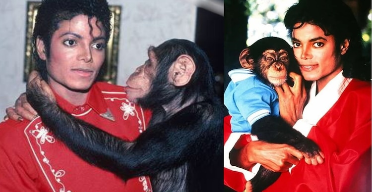 Bubbles y Michael Jackson