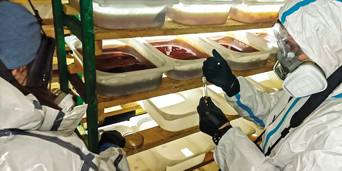 La Policía Central de Investigación de Polonia desmantela un laboratorio clandestino en Pyskowice, en diciembre de 2024, done había unos 185 kg de klefedrona (droga sintética) con un valor de 9 millones de zlotys.