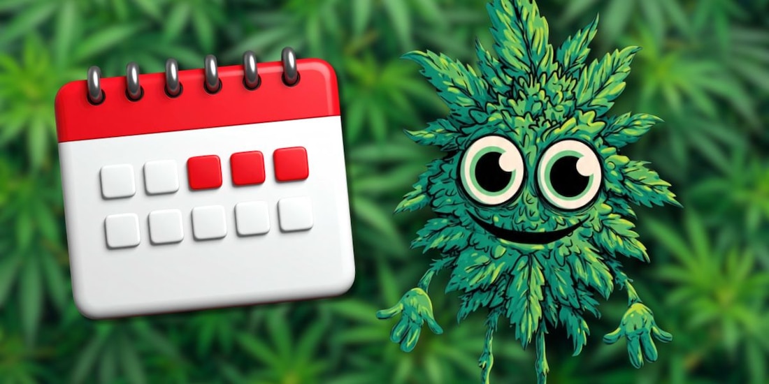 ¿Por qué se celebra el 420, Día Mundial de la Marihuana, el 20 de abril?