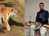 William Chapman murió en un ataque de tigre