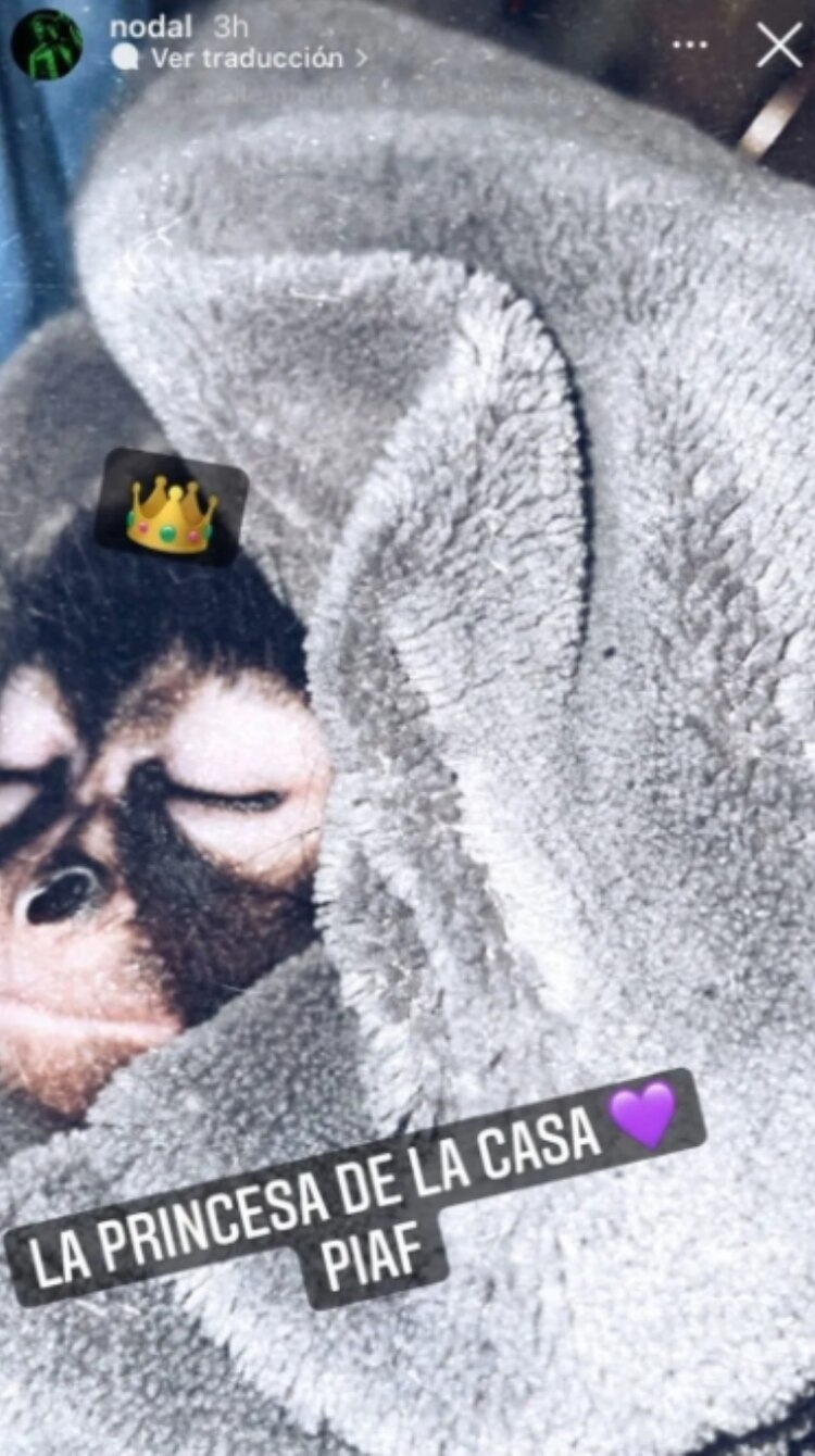 Christian Nodal presume a su mono araña bebé