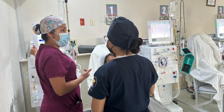 La iniciativa contempla la producción controlada de opioides médicos para manejo del dolor