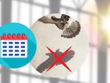 Día Sin Sombra 2026