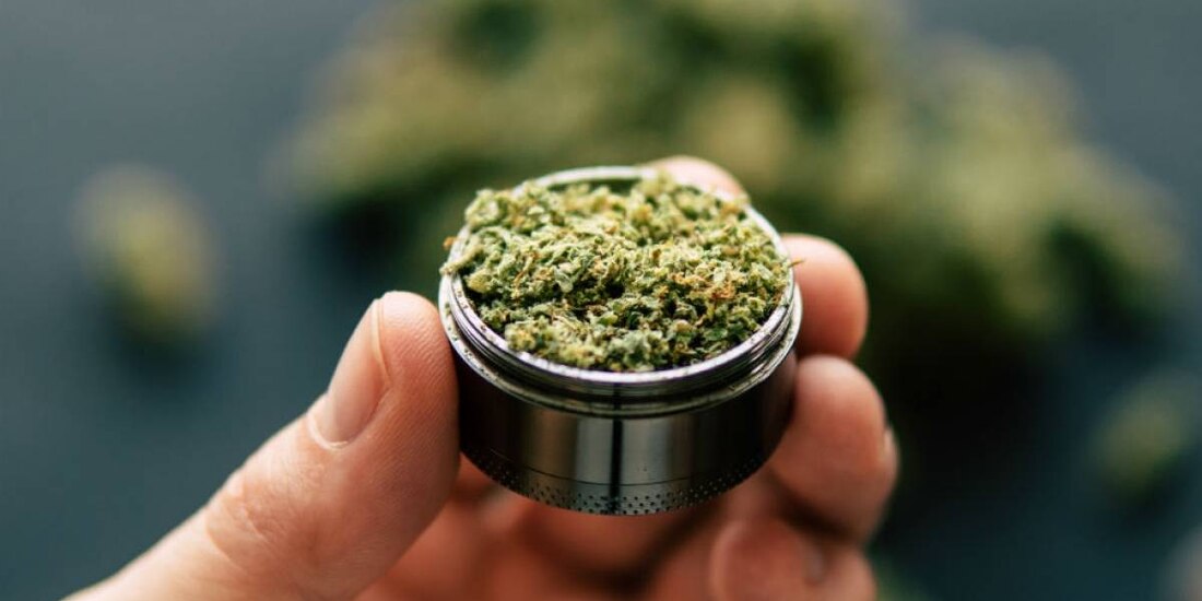 Avanza en Senado uso de mariguana lúdica