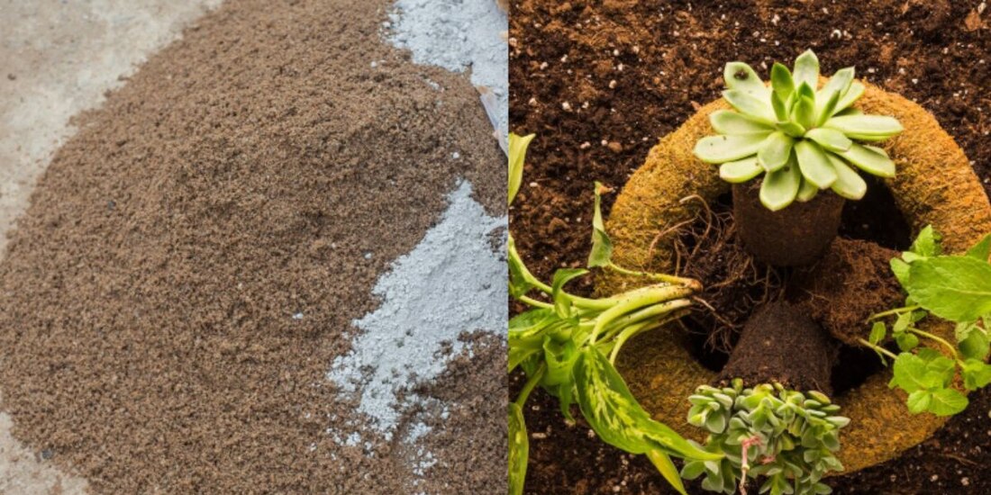 La tierra de diatomeas, un polvo mineral derivado de algas fosilizadas, se ha posicionado como una solución natural para fertilizar suelos y controlar plagas sin químicos.