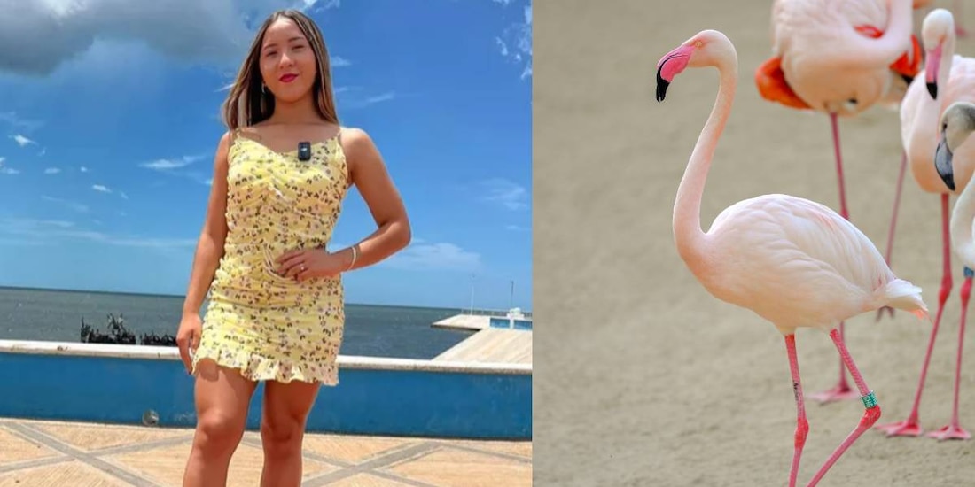 Causa indignación en redes por este video