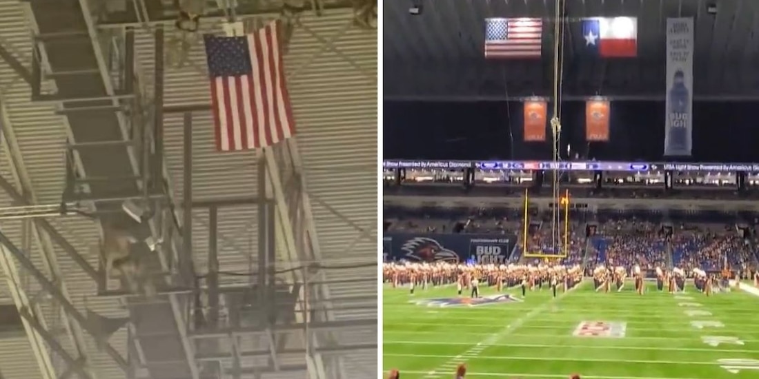 VIDEOS de la trágica caída del militar estadounidense en partido de fútbol americano en Texas.