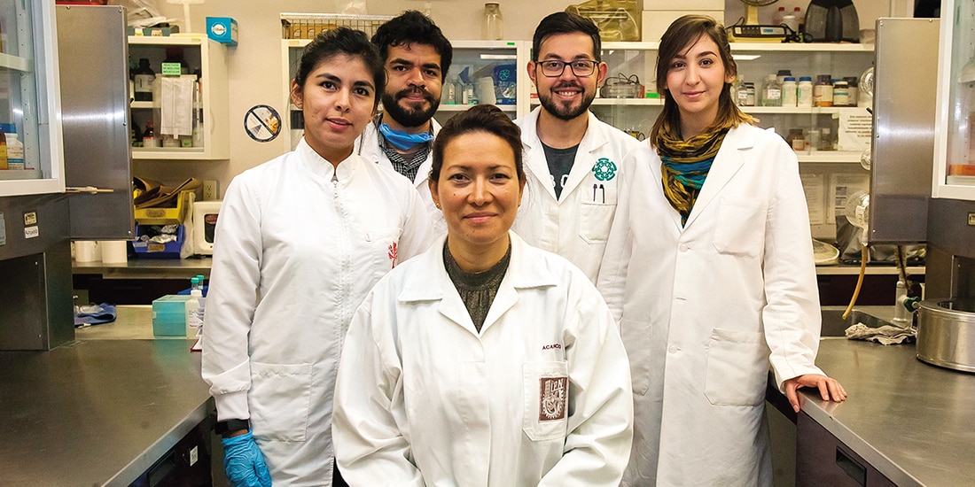 LA ESCUELA Nacional de Ciencias Biológicas del IPN comprobó la eliminación del 100% del VPH, focalizado en el cérvix uterino al tratarse con terapia fotodinámica, en febrero de 2019.