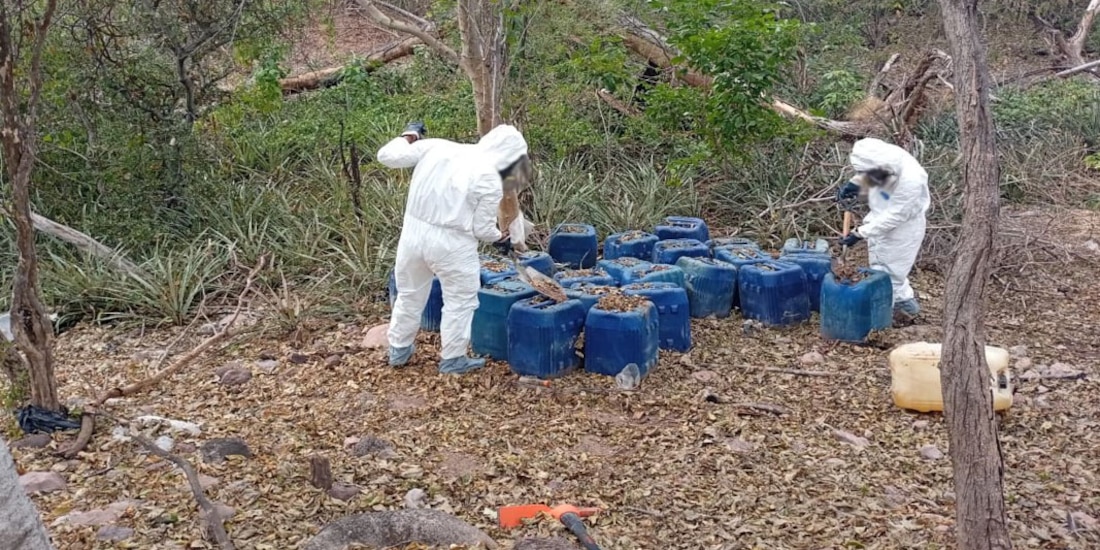 EU condiciona apoyo a México a extradiciones, capturas y cierre de laboratorios.
