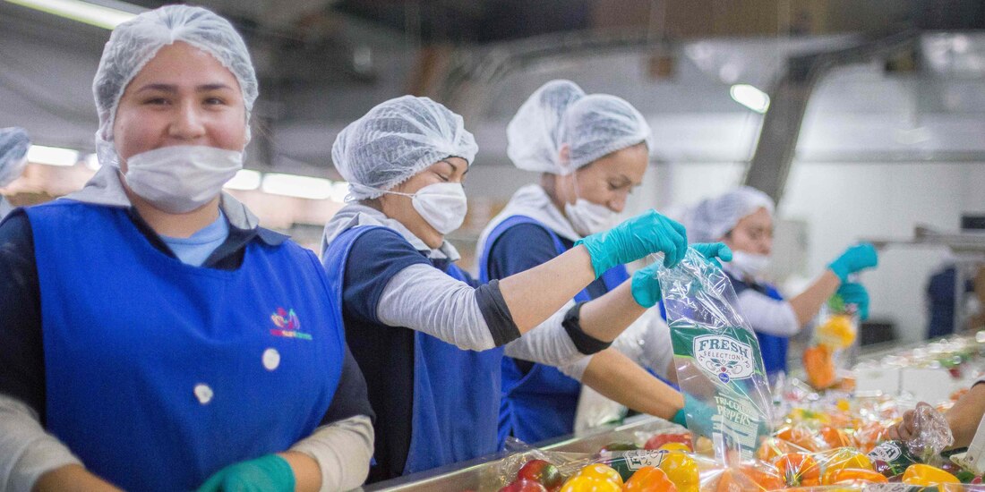 En junio pasado el valor de las exportaciones agropecuarias y pesqueras sumó mil 864.7 millones de dólares, monto que implicó un incremento anual de 5.1 por ciento, resaltó la Secretaría de Agricultura y Desarrollo Rural