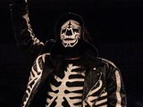 La Parka fue uno de los luchadores emblemáticos de la Triple A.