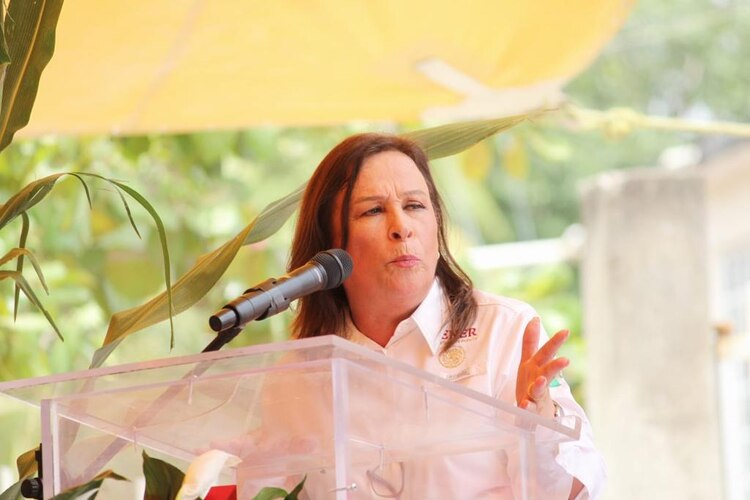 La secretaria de Energía, Rocío Nahle García, enfatizó que hoy llegó a Veracruz este programa nacional.