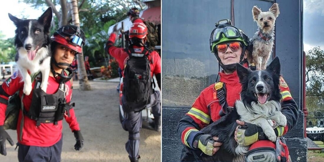 Fotografías de Athos y Tango con uno de sus dueños; realizaban labores de rescate.