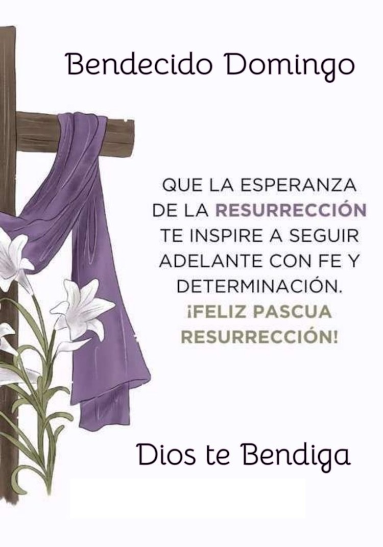 Imágenes para desear feliz Domingo de Ramos