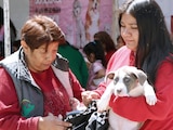 UN PAR de mujeres carga a su mascota durante el Peluditos Fest de San Antonio Tecómitl, el 28 de julio de 2025.