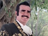 Ella es la amante de Vicente Fernández que fue Miss Universo