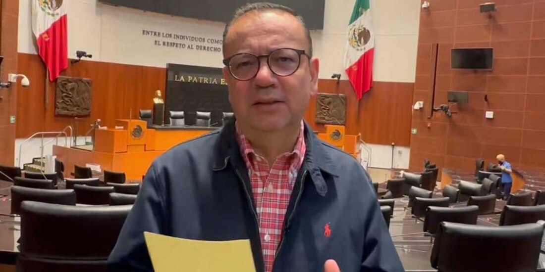 Germán Martínez, senador del Grupo Plural