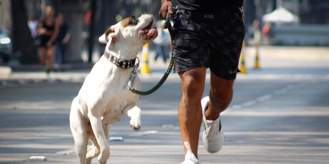 Puente 2025: ¿Cuáles son los mejores eventos en la CDMX del 31 de enero al 2 de febrero?.