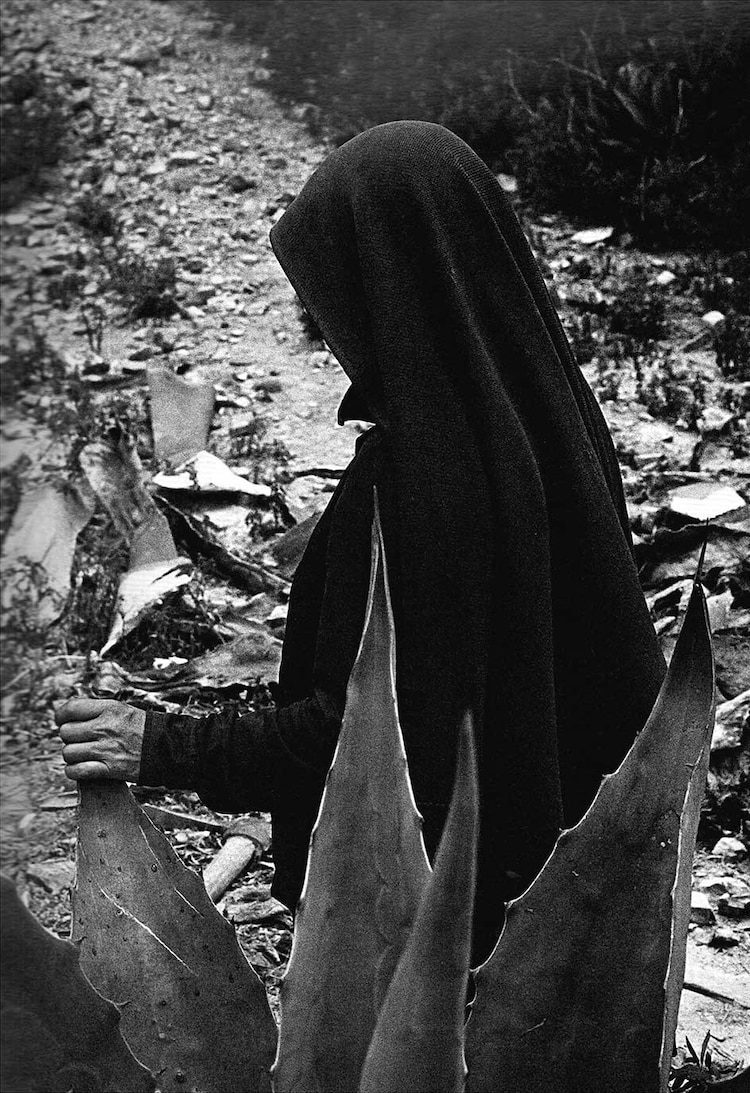 El Nandho, Ixmiquilpan, 1980.