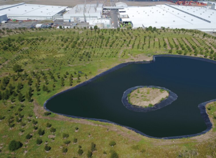 Reserva Ecológica de Nissan en Aguascalientes (N2) que cuenta con miles de ejemplares.