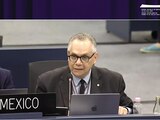 Francisco Vidargas, titular de la Dirección de Patrimonio Mundial del INAH, es delegado de México en la Convención del Patrimonio Mundial de la UNESCO.