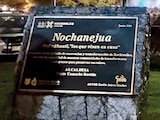 RECONOCIMIENTO / La efigie reconoce la transformación que ha vivido la alcaldía Xochimilco.