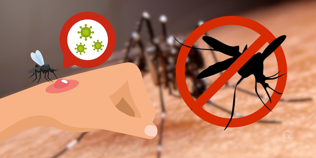 Cómo prevenir el dengue
