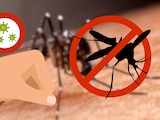 Cómo prevenir el dengue