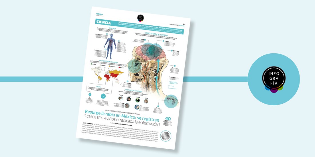 Resurge la rabia en México: se registran 4 casos tras 4 años erradicada la enfermedad