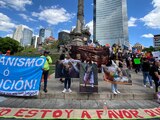 Colectivos animalistas se reúnen en CDMX y otras entidades.
