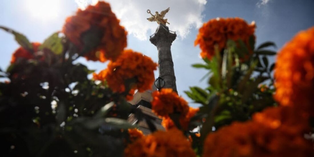 Festival de las Flores de Cempasúchil llega este miércoles 18 de octubre a Paseo de la Reforma.