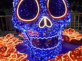 Iluminación del paseo de la Reforma, por el día de muertos