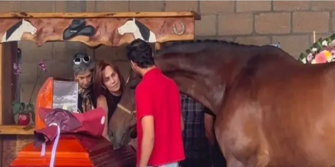 Elena Larrea fue despedida por los caballos que en vida rescató y cuidó.