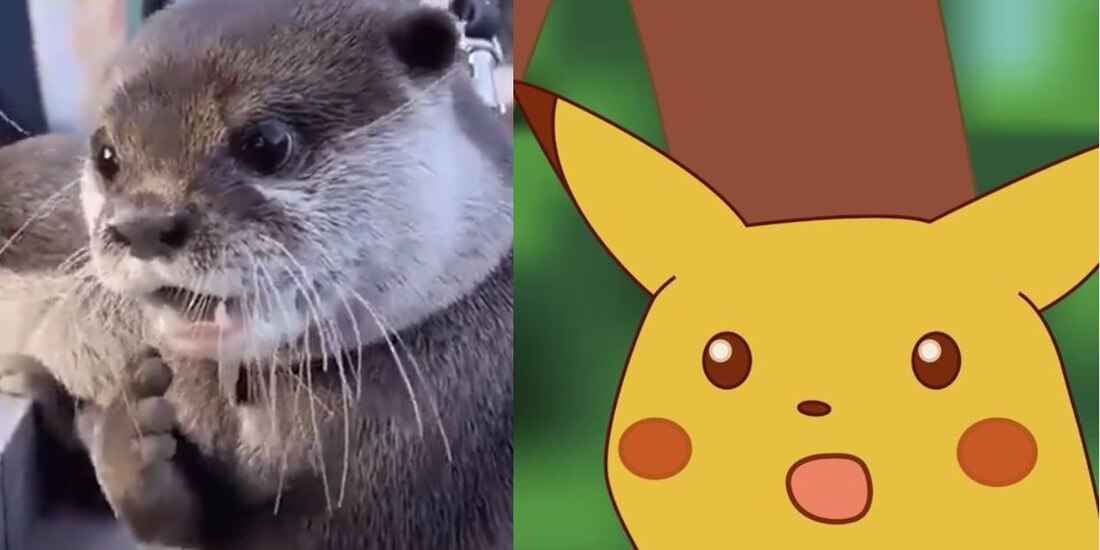 Memes de la llegada de abril