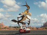 Coyote Vs ACME