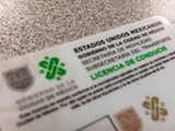 Licencia de conducir en la CDMX.